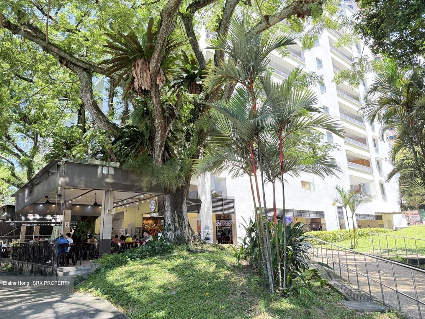 Blk 5 Dover Court (Queenstown), HDB 3 Rooms #499383181